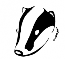 The_Badger42