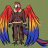 Confused_Aviator