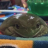 LeapFroggin